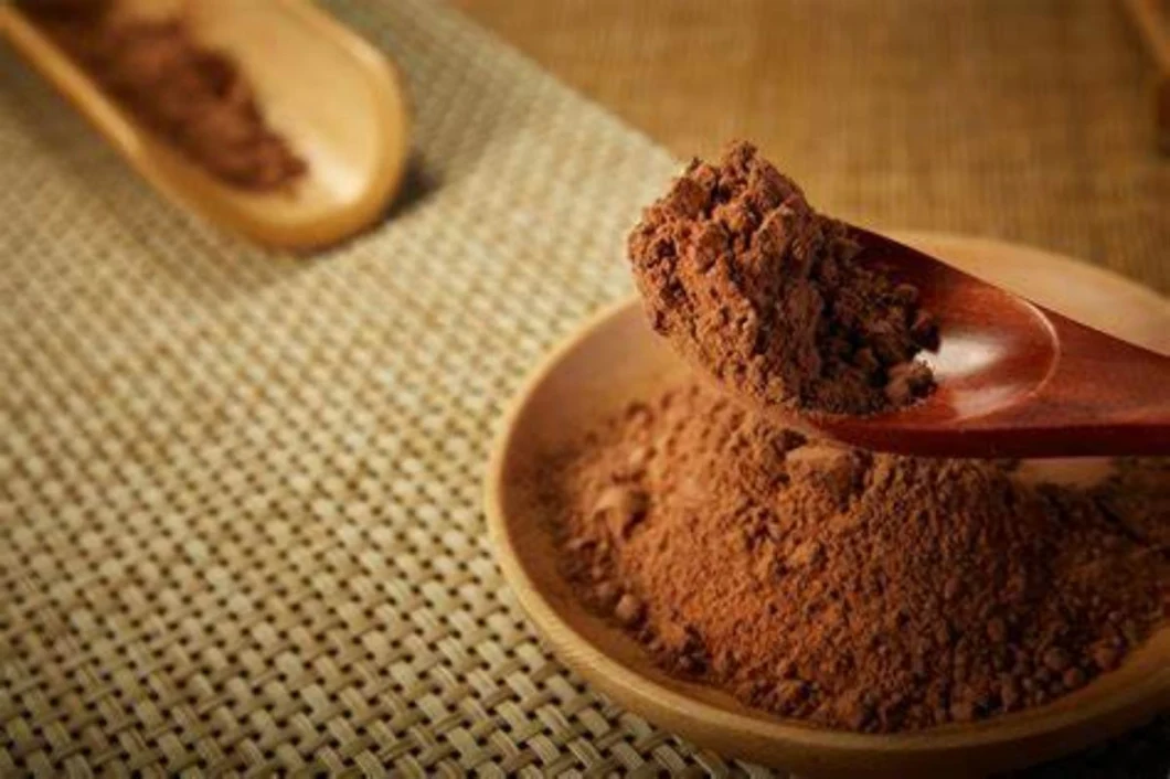 Alkalized Cocoa Powder Cocoa Powder Natural for Baking &amp; Hot Chocolate
