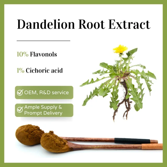 Dandelion Root Extract Powder Coffee Flavor Dandelion