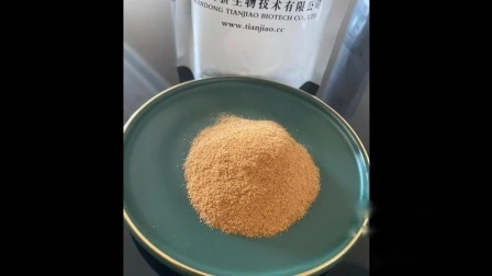 Malt Extract Powder for Malted Milk or Malted Hot Chocolate